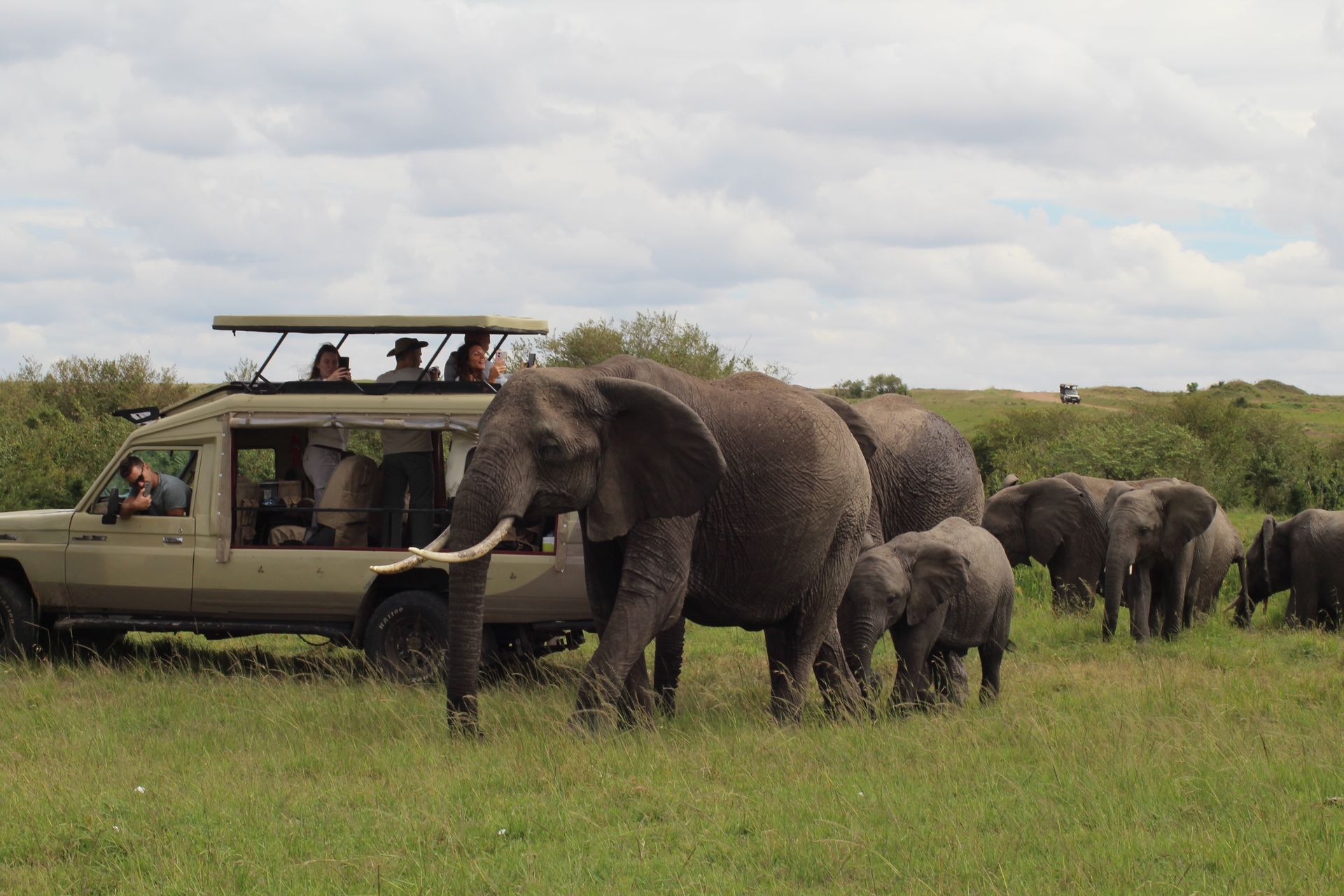 AIMMEK Tours & Safaris Img